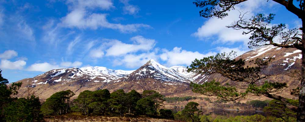 Cannich Woodland Camping - Camping Scotland