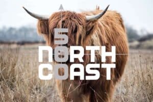 Read more about the article Best Campsites on the North Coast 500 (NC500)