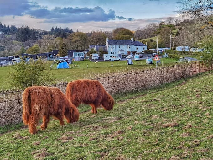 Read more about the article South Whittlieburn Farm Campsite