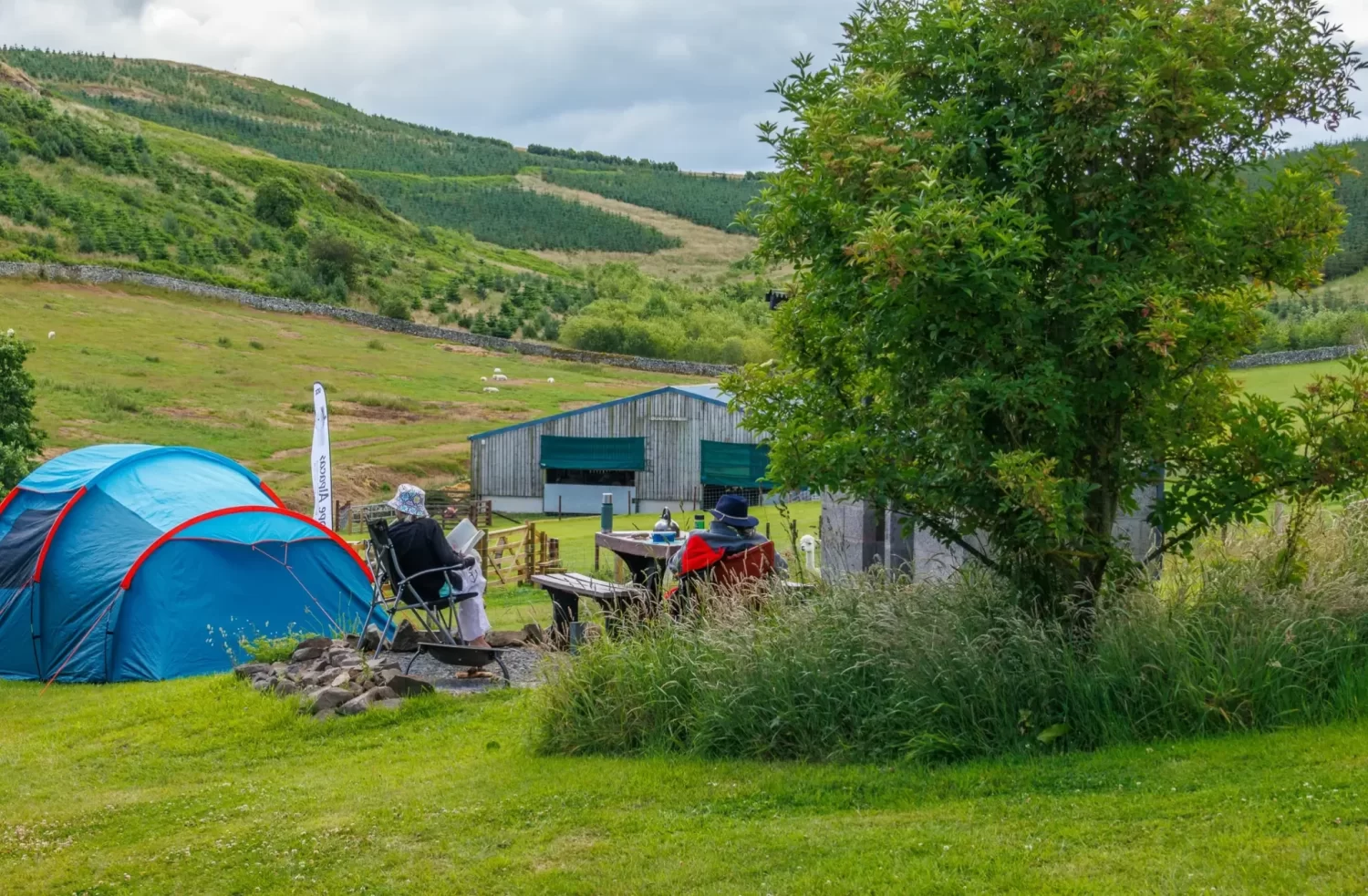 Read more about the article Beirhope Alpacas Campsite